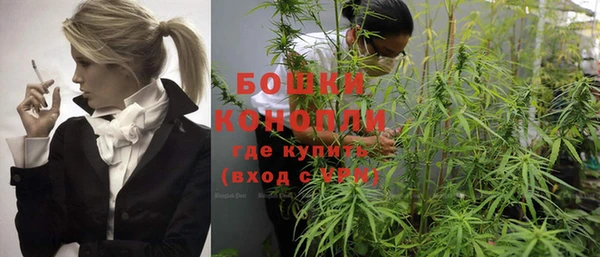 прущие грибы Осинники
