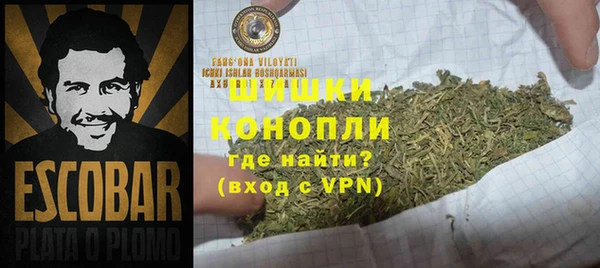 прущие грибы Осинники