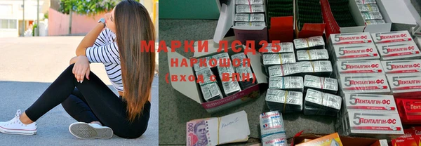 прущие грибы Осинники