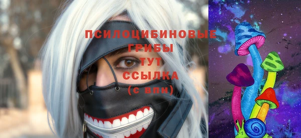 ПСИЛОЦИБИНОВЫЕ ГРИБЫ Осташков