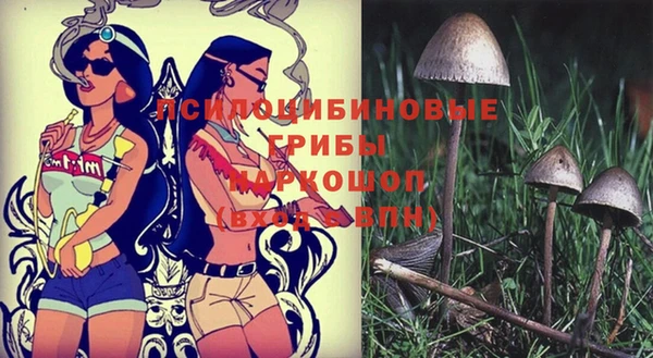 прущие грибы Осинники