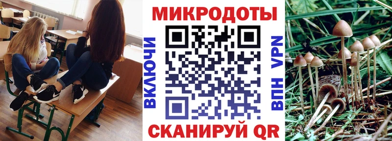 Псилоцибиновые грибы Cubensis где купить наркотик Харовск