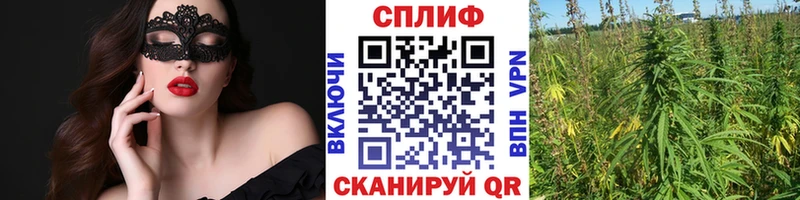 Шишки марихуана марихуана  MEGA рабочий сайт  Харовск  где купить наркоту 